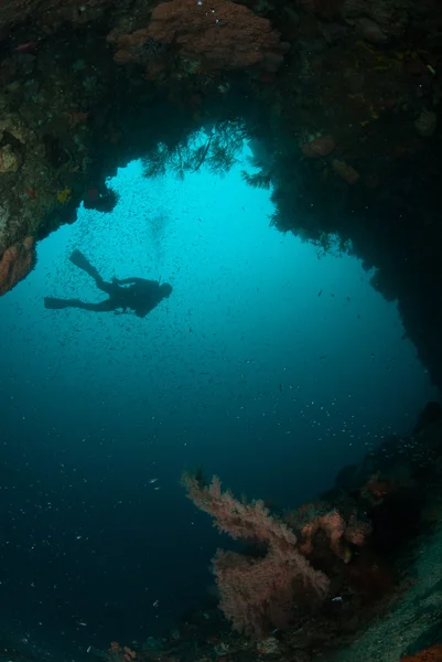 Diver, sea fan in Ambon, Maluku, Indonesia underwater photo — Stock Photo, Image
