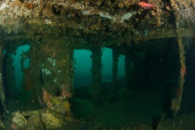 Tekne kazasında Ambon, Maluku, Endonezya sualtı fotoğraf