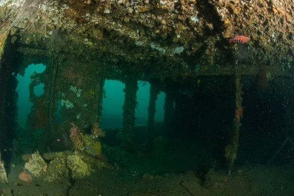 Boat wreck in Ambon, Maluku, Indonesia underwater photo — Stock Photo, Image