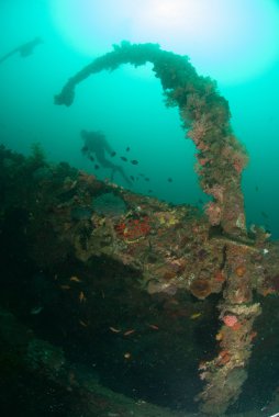 Dalgıç, tekne kazasında Ambon, Maluku, Endonezya sualtı fotoğraf