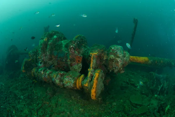 Boat wreck, indo-pacific sergeant damselfish in Ambon, Maluku, Indonesia underwater photo — Stock Photo, Image