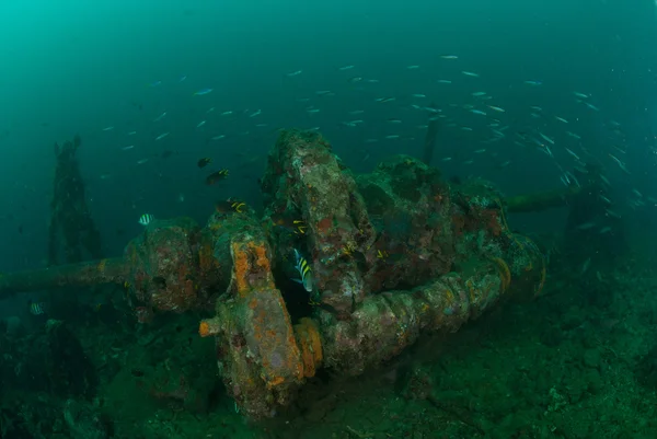 Boat wreck, indo-pacific sergeant damselfish in Ambon, Maluku, Indonesia underwater photo — Stock Photo, Image