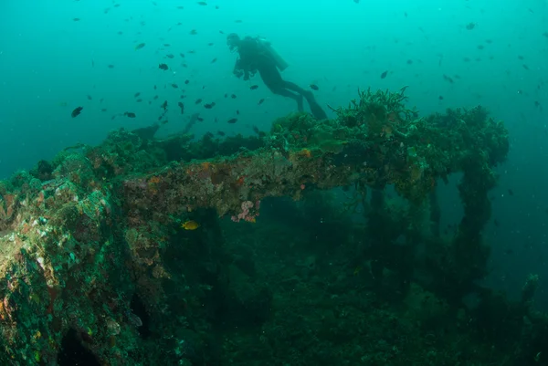 Diver, boat wreck in Ambon, Maluku, Indonesia underwater photo — Stock Photo, Image