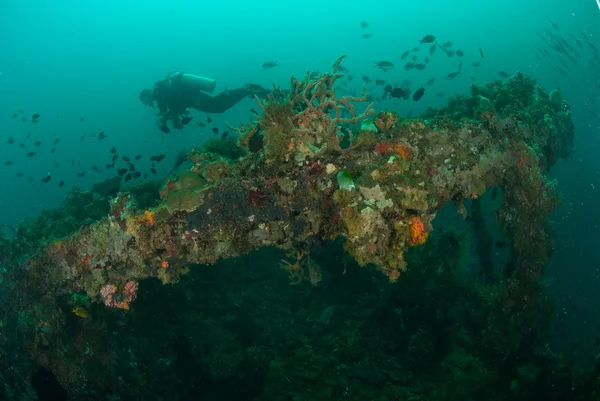 Diver, boat wreck in Ambon, Maluku, Indonesia underwater photo — Stock Photo, Image