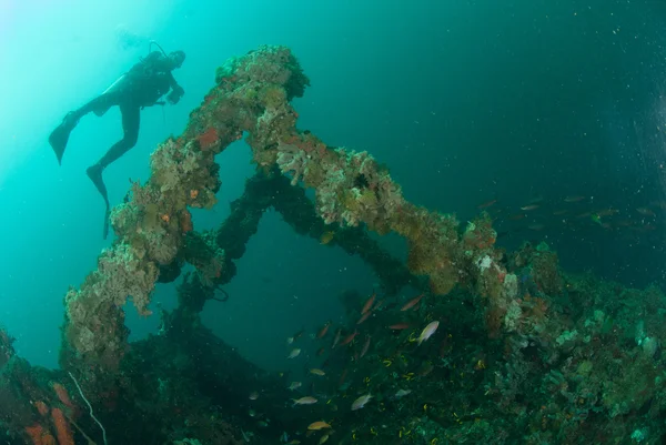 Diver, boat wreck in Ambon, Maluku, Indonesia underwater photo — Stock Photo, Image