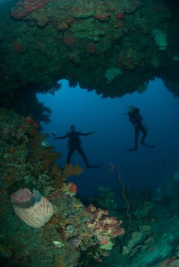 Dalgıçlar, dev varil sünger, tel mercan Ambon, Maluku, Endonezya sualtı fotoğraf içinde