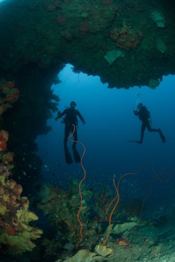 Dalgıçlar, sünger, mercan Ambon, Maluku, Endonezya sualtı fotoğraf içinde tel