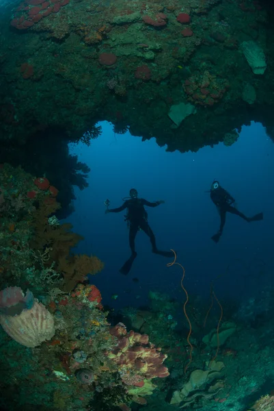 Buceadores, esponja de barril gigante, corales de alambre en Ambon, Maluku, Indonesia foto submarina —  Fotos de Stock