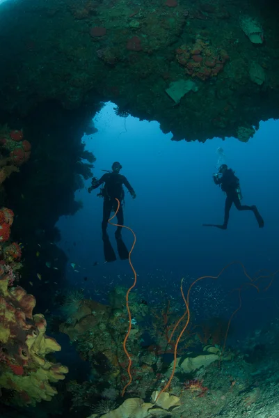 潜水员，海绵，钢丝珊瑚的安汶，印度尼西亚马鲁古群岛的水下照片 — 图库照片