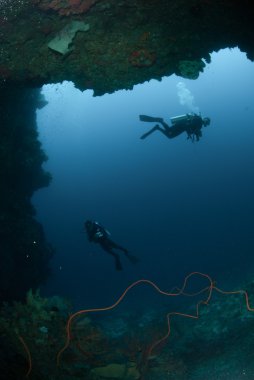 Dalgıçlar, sünger, mercan Ambon, Maluku, Endonezya sualtı fotoğraf içinde tel