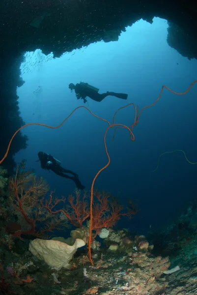 Divers, sponge, wire corals in Ambon, Maluku, Indonesia underwater photo — Stock Photo, Image