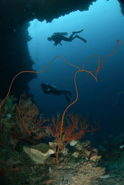 Divers, sponge, wire corals in Ambon, Maluku, Indonesia underwater photo — Stock Photo, Image