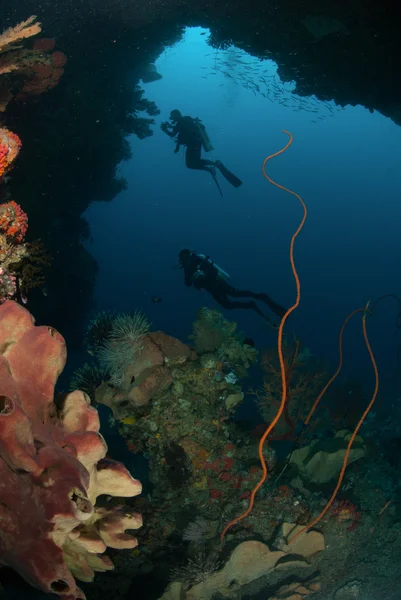 Divers, sponge, wire corals, sea fan in Ambon, Maluku, Indonesia underwater photo — Stock Photo, Image