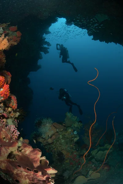 Mergulhadores, esponja, corais de arame, ventilador de mar em Ambon, Maluku, Indonésia foto subaquática — Fotografia de Stock