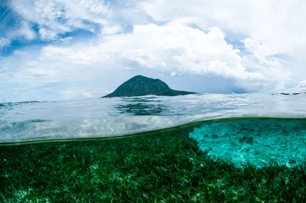 Dağın üstünden deniz görünümü bunaken sulawesi Endonezya sualtı fotoğraf