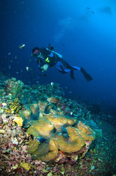 Plongée sous-marine au-dessus du corail sous le bateau bunaken sulawesi indonesia photo sous-marine — Photo