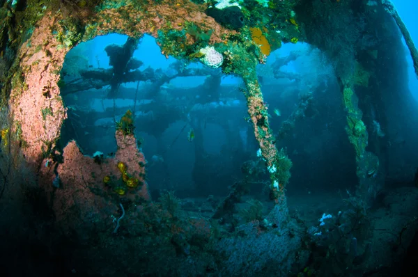 難破船をスラウェシ島ブナケン インドネシア水中写真 — ストック写真