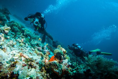 Dalgıç almak bir fotoğraf üzerine mercan kapoposang Endonezya tüplü dalış