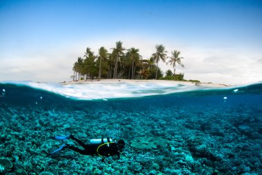 Scuba diving diver below coconut island kapoposang sulawesi indonesia underwater bali lombok clipart