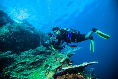 Dalgıç bir fotoğraf mercan kapoposang Endonezya tüplü dalış video alın