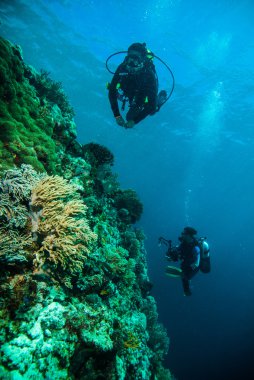 Scuba diving dalgıç kapoposang sulawesi Endonezya sualtı