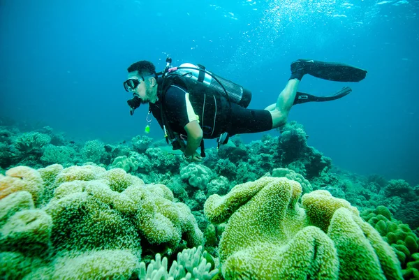 Buceador de buceo kapoposang sulawesi indonesia bajo el agua —  Fotos de Stock