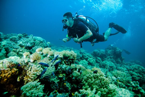 Buceador de buceo kapoposang sulawesi indonesia bajo el agua — Foto de Stock