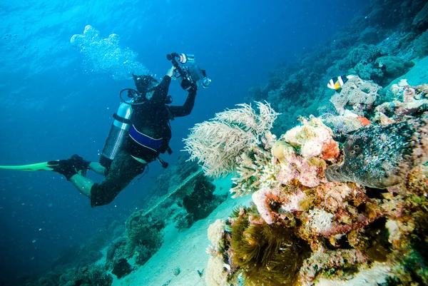 Scuba diving diver kapoposang sulawesi indonesia underwater — Stock Photo, Image