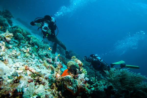 Mergulhador tirar uma foto sobre coral kapoposang indonésia mergulho — Fotografia de Stock