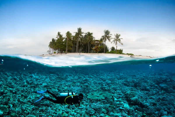 Taucher unter Kokosnussinsel kapoposang sulawesi indonesien unterwasser bali lombok — Stockfoto