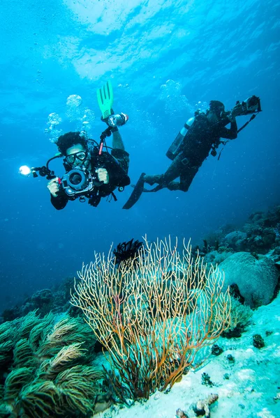 潜水员拍一张照片后珊瑚 kapoposang 印度尼西亚水肺潜水 — 图库照片