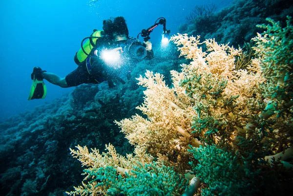 Buzo tomar un video fotográfico sobre coral kapoposang indonesia buceo — Foto de Stock