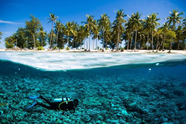 Scuba diving diver below island kapoposang sulawesi indonesia underwater bali lombok — Stock Photo, Image