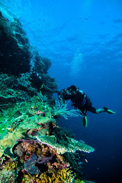 Plongeur prendre une photo vidéo sur corail kapoposang indonesia plongée sous-marine — Photo