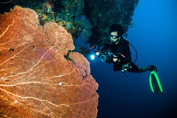 Duiker neemt een foto video op seafan kapoposang Indonesië scuba diving — Stockfoto