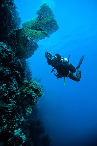 Дайвер снял на видео подводное погружение морского пехотинца — стоковое фото