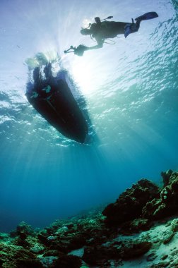 Scuba diving dalgıç güneş tekne kapoposang sulawesi Endonezya sualtı