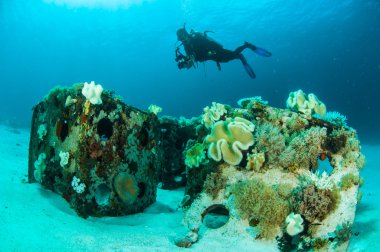 Scuba diving dalgıç batık kapoposang sulawesi Endonezya sualtı