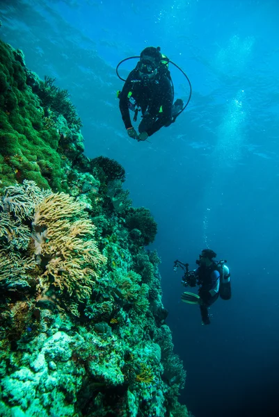 Scuba diving diver kapoposang sulawesi indonesia underwater — Stock Photo, Image