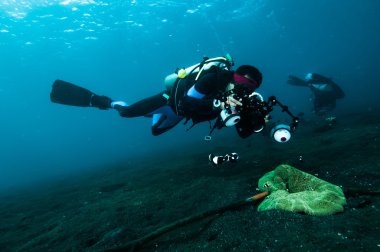 Dalgıç bir fotoğraf mercan lembeh Endonezya tüplü dalış video alın