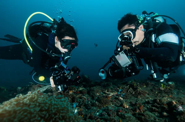 Dalgıç bir fotoğraf mercan lembeh Endonezya tüplü dalış video alın