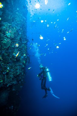 Dalgıç mavi su tüplü dalış bunaken Endonezya deniz resif okyanus