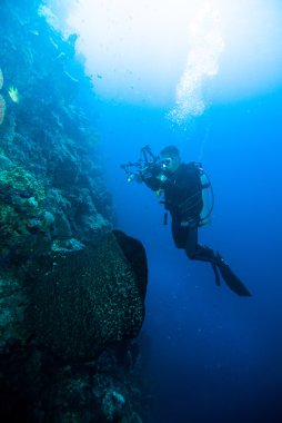 Sualtı fotoğraf fotoğrafçı diver scuba dalış bunaken Endonezya resif okyanus