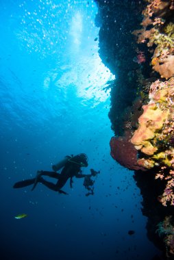 Dalgıç mavi su tüplü dalış bunaken Endonezya deniz resif okyanus