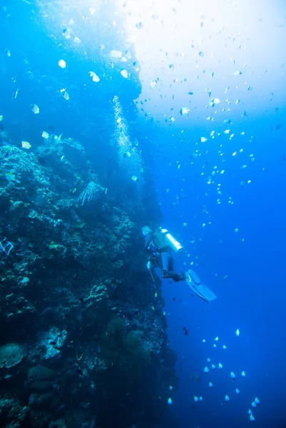 Дайвер голубой воды дайвинг bunaken indonesia морской риф океан — стоковое фото