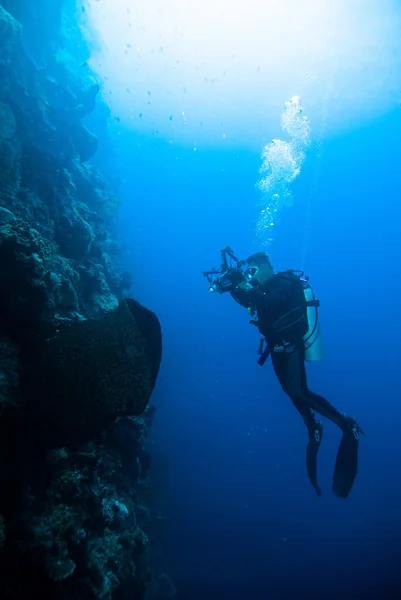 水下摄影的摄影师潜水员潜水布纳肯印度尼西亚礁海洋 — 图库照片