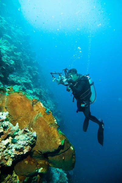 Víz alatti fényképezés fotós búvár búvár bunaken Indonézia zátony óceán — Stock Fotó