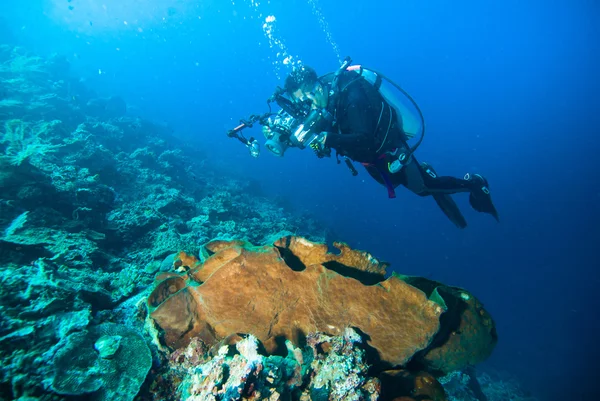 Подводная фотография фотограф подводного плавания подводного плавания bunaken indonesia рифа океана — стоковое фото