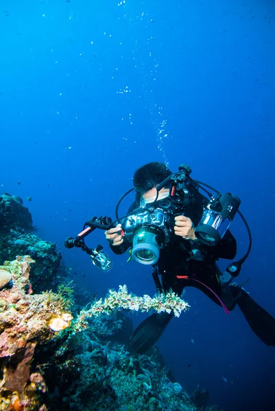 Underwater photography photographer diver scuba diving bunaken indonesia reef ocean — Stock Photo, Image