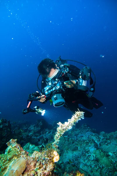 Podwodna fotografia fotograf nurek nurkowanie bunaken Indonezja rafa ocean — Zdjęcie stockowe